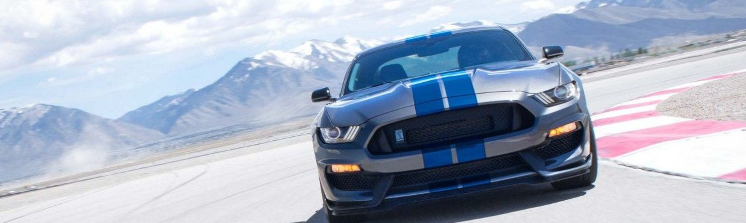 2019 Ford Mustang for sale in elite autos, Jonesboro, Arkansas